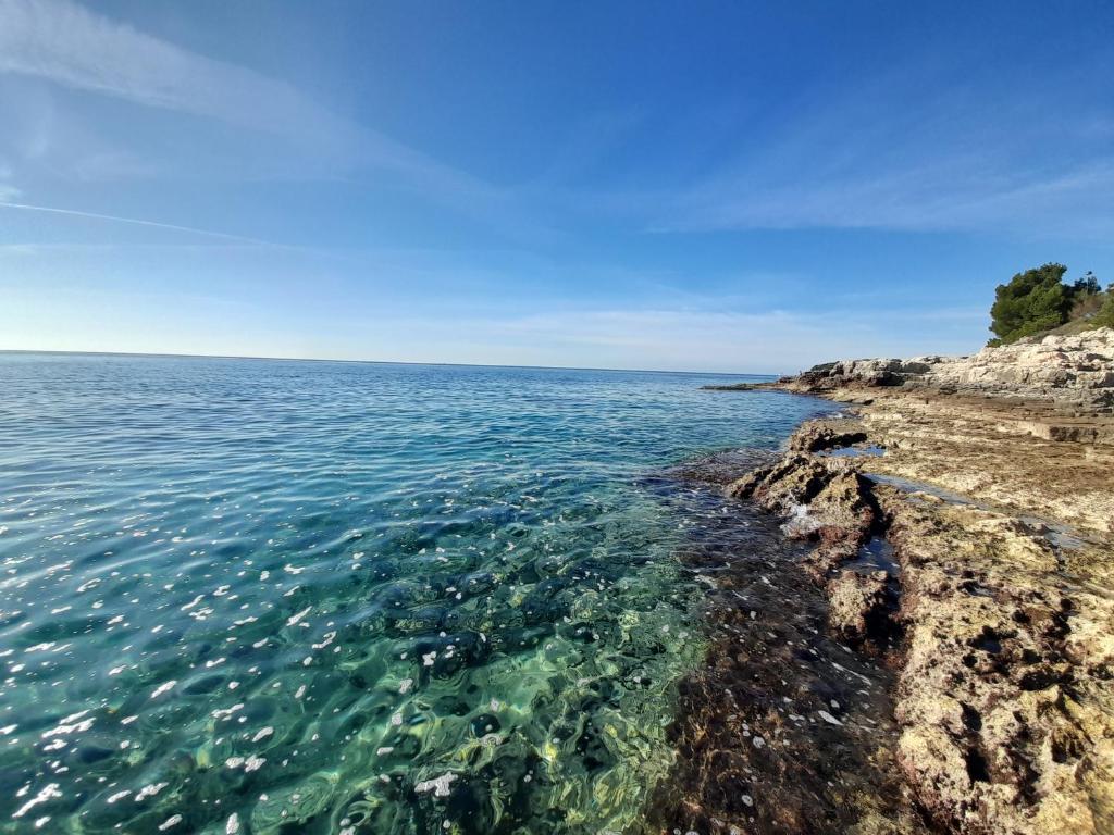 Příroda nedaleko apartmánu