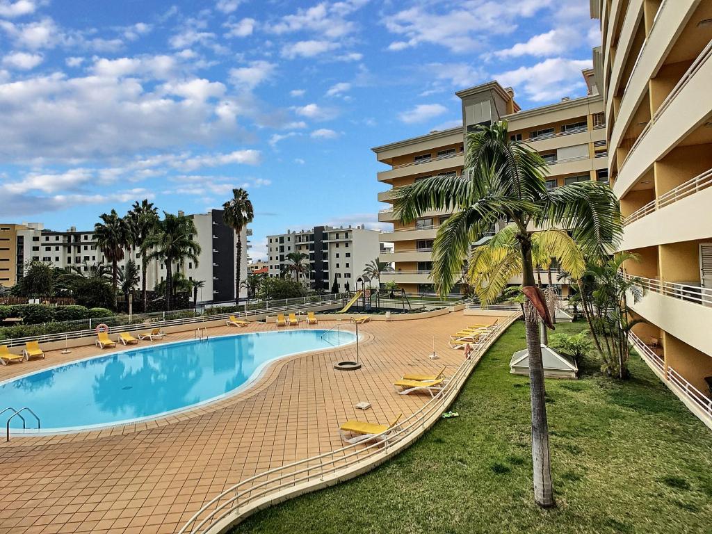 una piscina con sillas y una palmera junto a un edificio en Aidan Apartment by LovelyStay, en Funchal