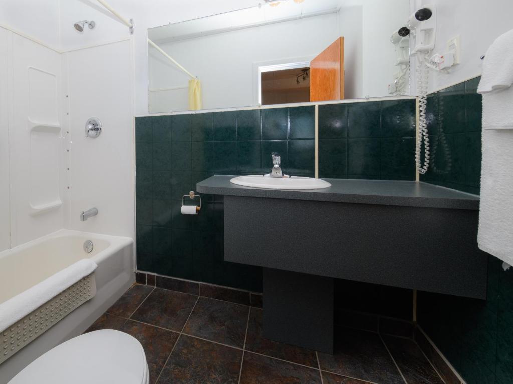 Koupelna v ubytování Au Pic de l'Aurore Motel-Chalets