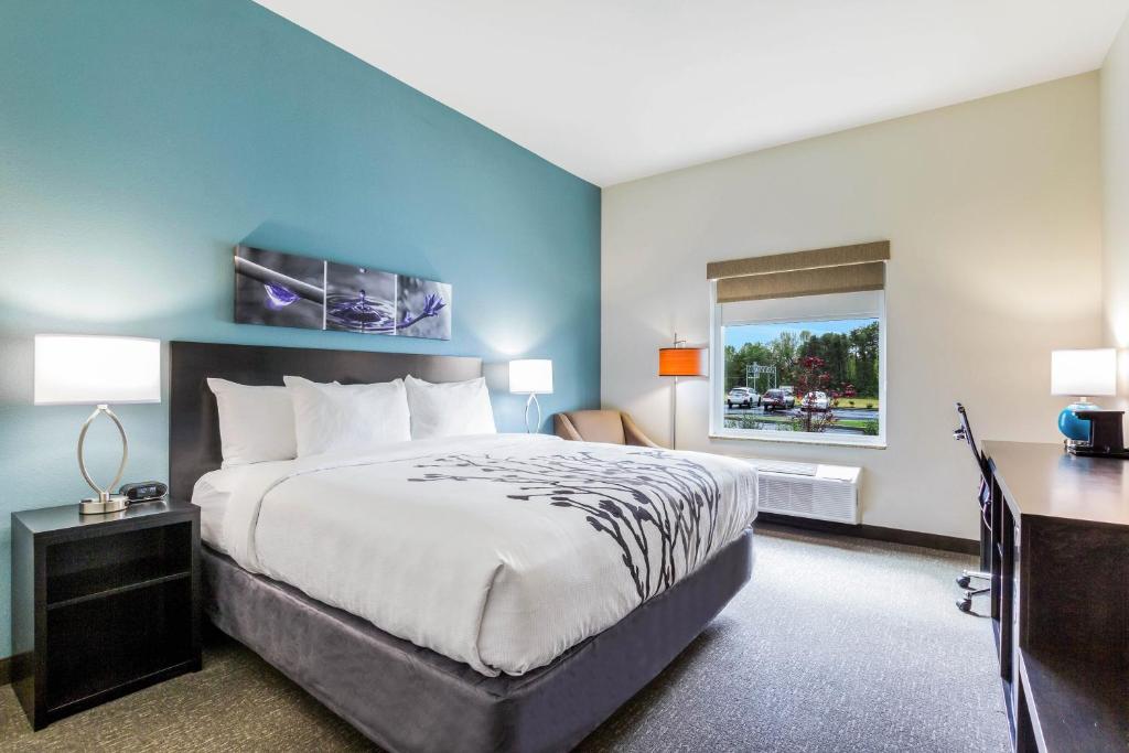Sleep Inn Winfield - Teays Valley - Chambre King Avec Baignoire Accessible - Accessible/Non-fumeur