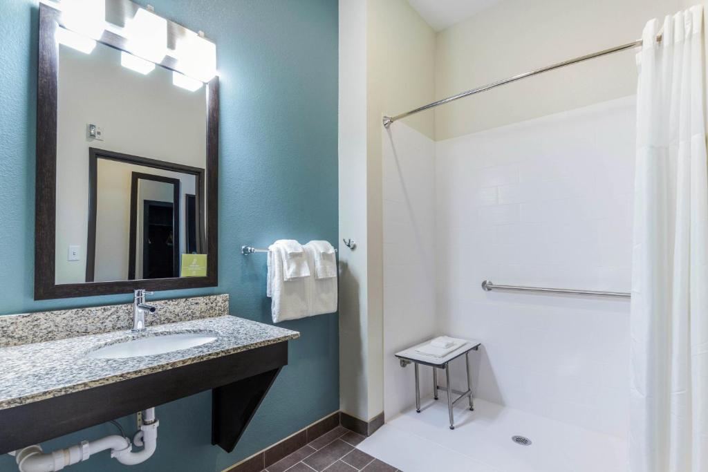 Sleep Inn Winfield - Teays Valley - Chambre King Avec Douche Accessible - Accessible/Non-Fumeur