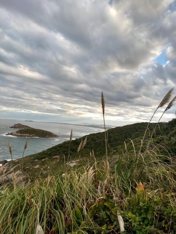  Essência do mar 2