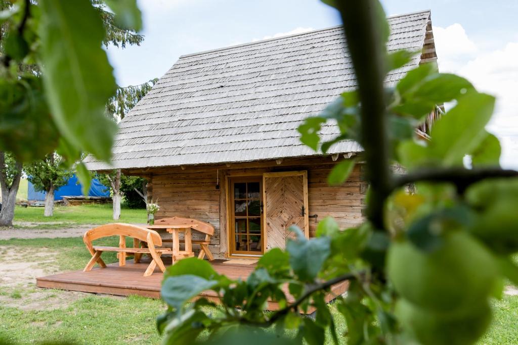 Cabaña de madera pequeña con mesa y silla en ETNO house, en Ricieliai