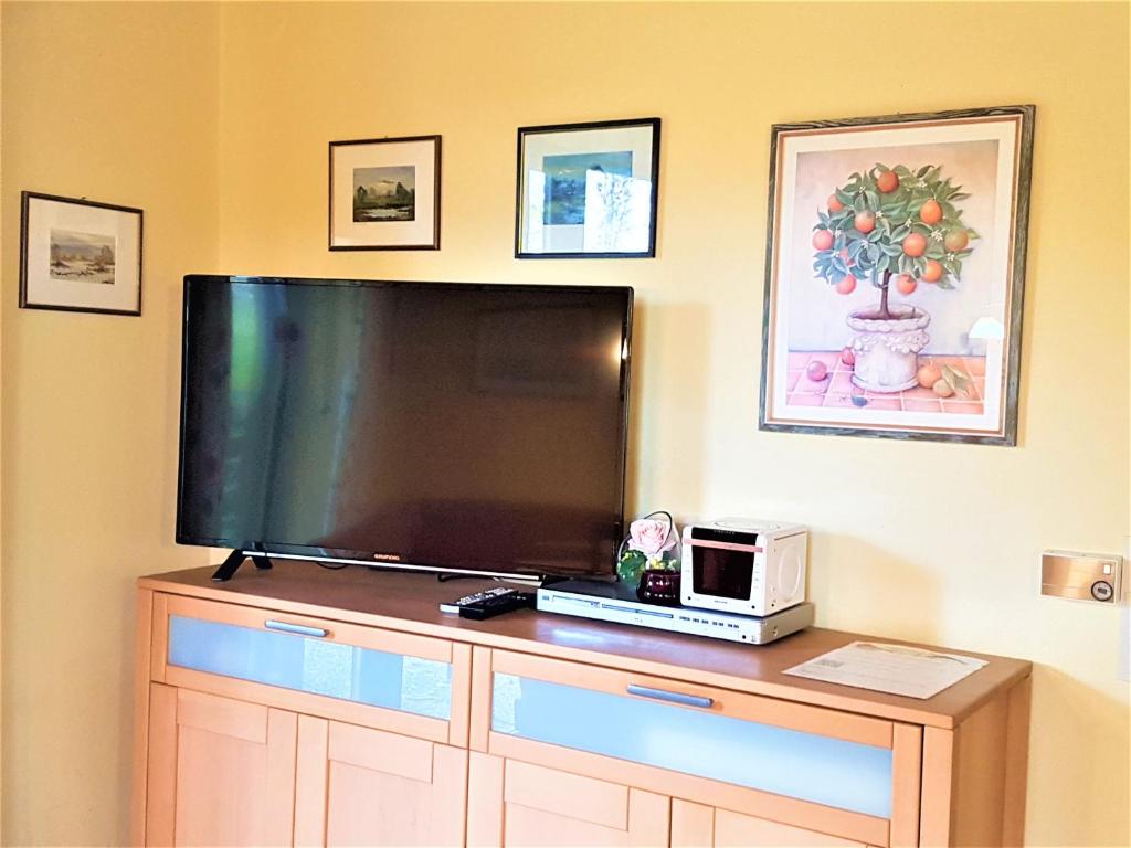 TV a/nebo společenská místnost v ubytování Ferienappartements mit Herz