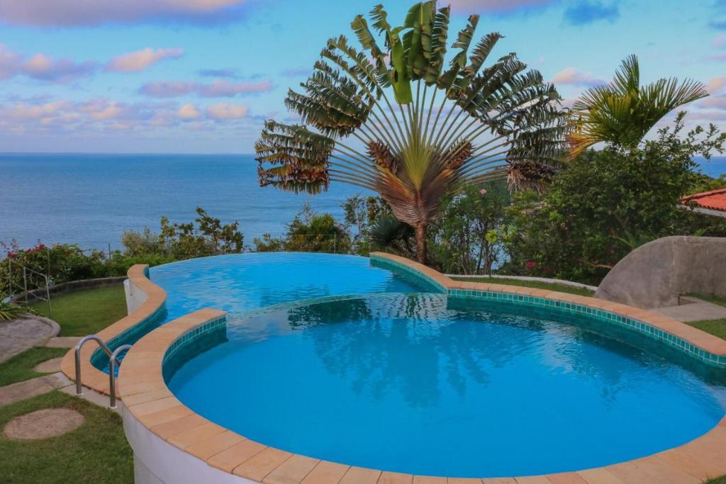 uma piscina com uma palmeira e o oceano em Villa Giulia Morro Residence em Morro de São Paulo