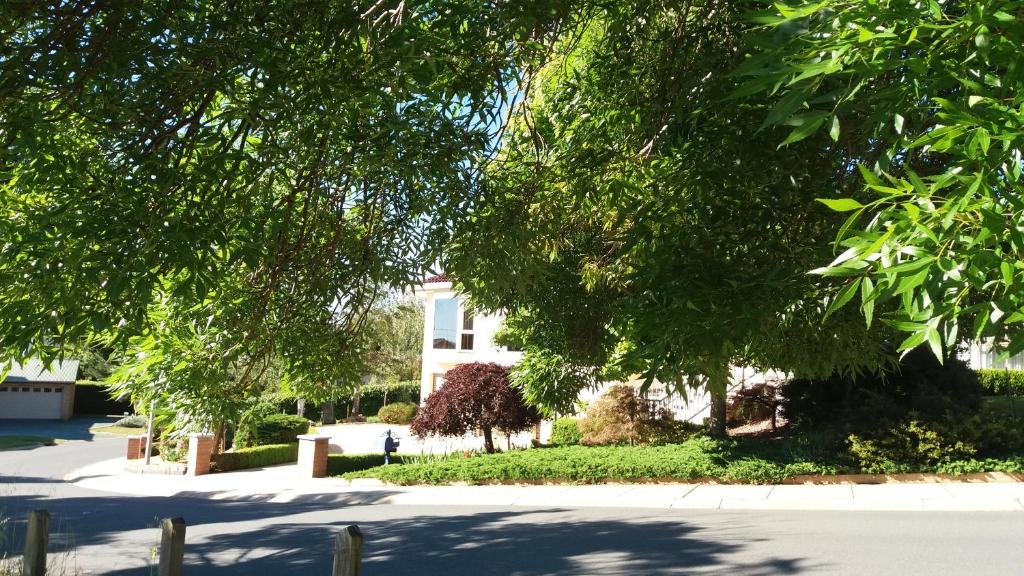 キャンベラにあるSweet Home by the Golf Courseの通りの前に木々が茂る白い家