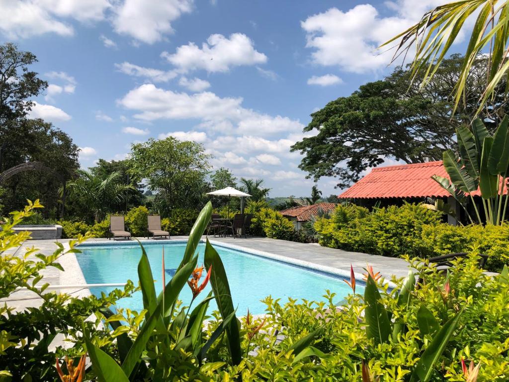 - Vistas a la piscina del complejo en Finca Hotel Brasilia, en La Tebaida