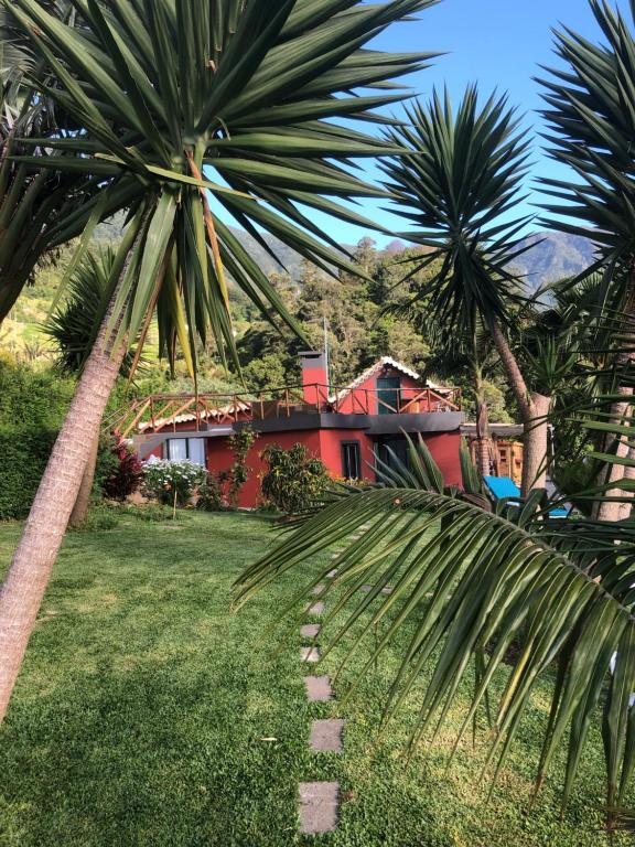 a house with palm trees in front of a yard at maderedocevida in Boaventura