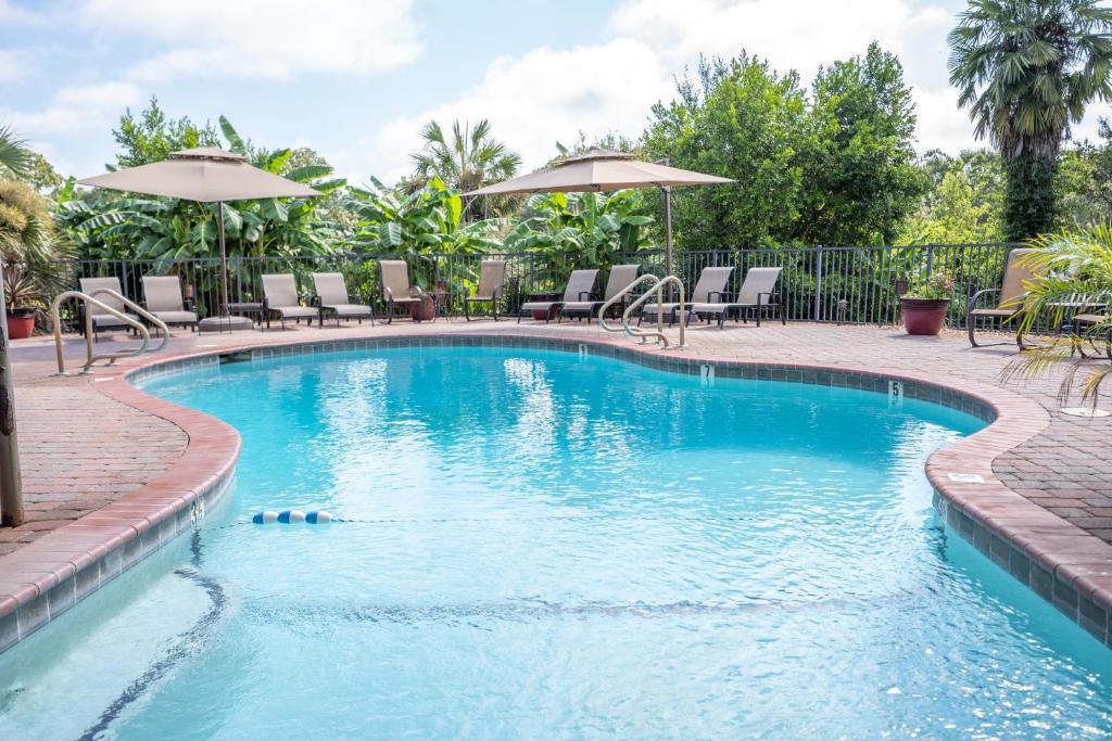 a large swimming pool with chairs and umbrellas at Southern Cross Guest Ranch in Madison