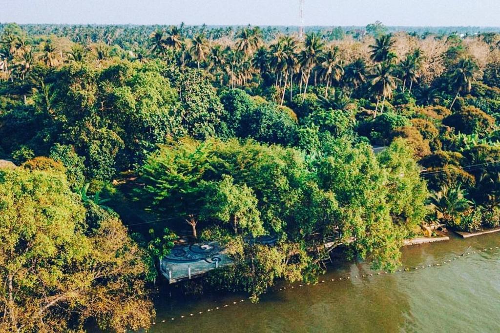 an aerial view of a jungle with trees and water at River CoCo @ Amphawa in Samut Songkhram