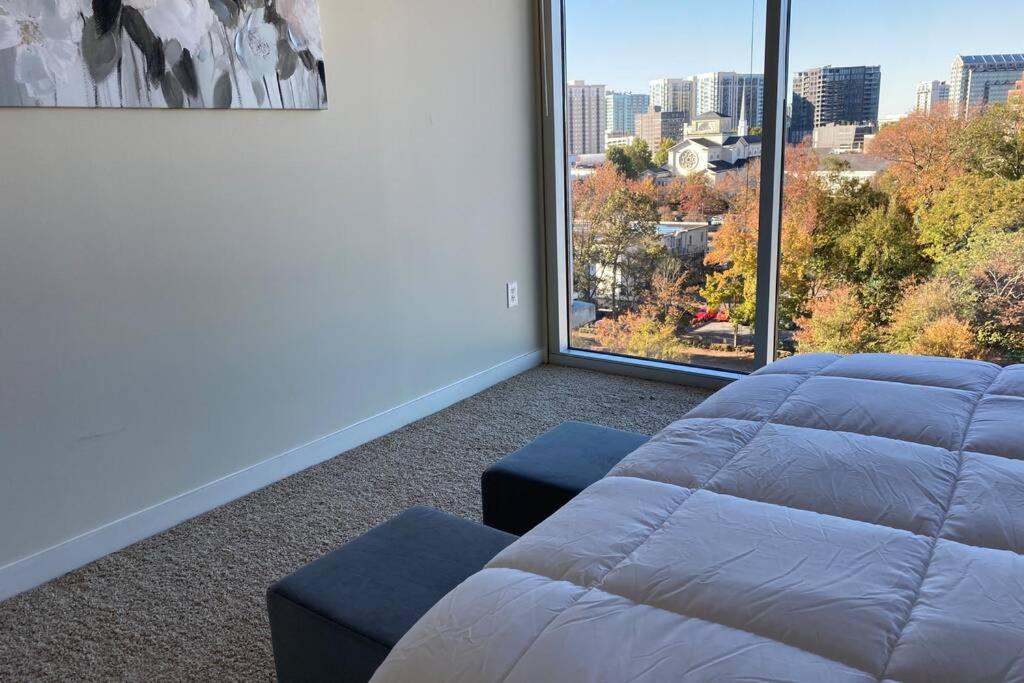 Cozy Luxury stay in Atlanta with Amazing views