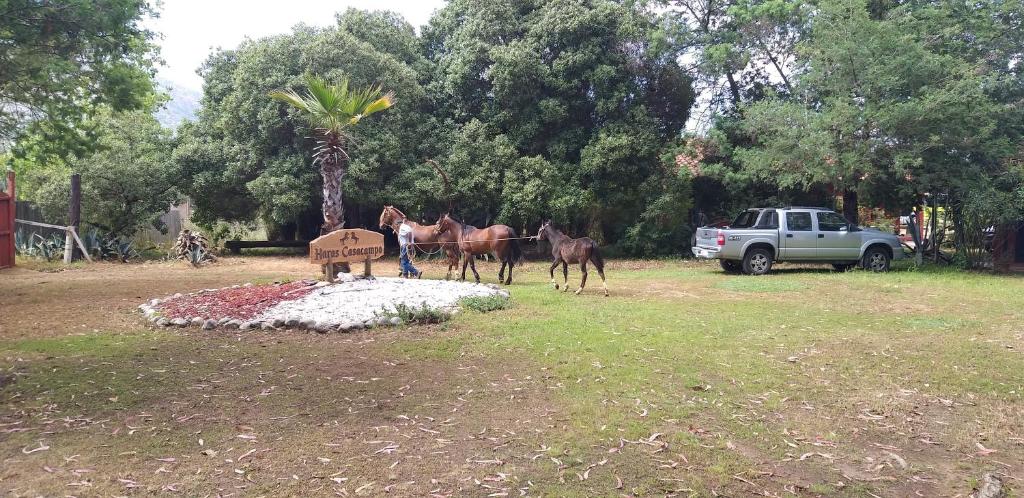 Zahrada ubytování Hotel Haras Casacampo