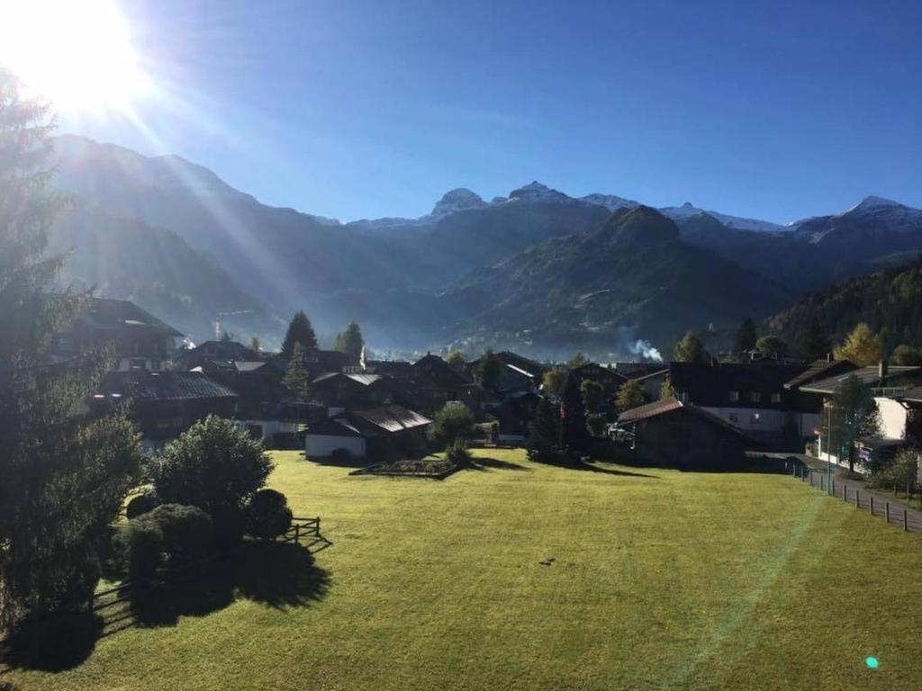 a village with a green field with mountains in the background at Apartment Turmalin 2- Stock by Interhome in Lenk