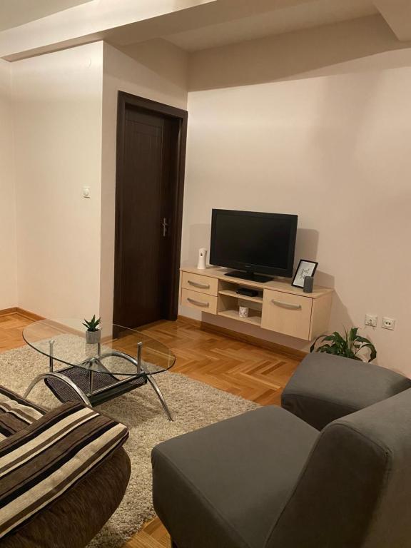 ein Wohnzimmer mit einem Sofa und einem Flachbild-TV in der Unterkunft MS APARTMENTS in Kragujevac