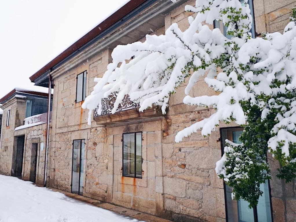 a snow covered tree in front of a building at Vilavella Hotel & Spa in Vilavella