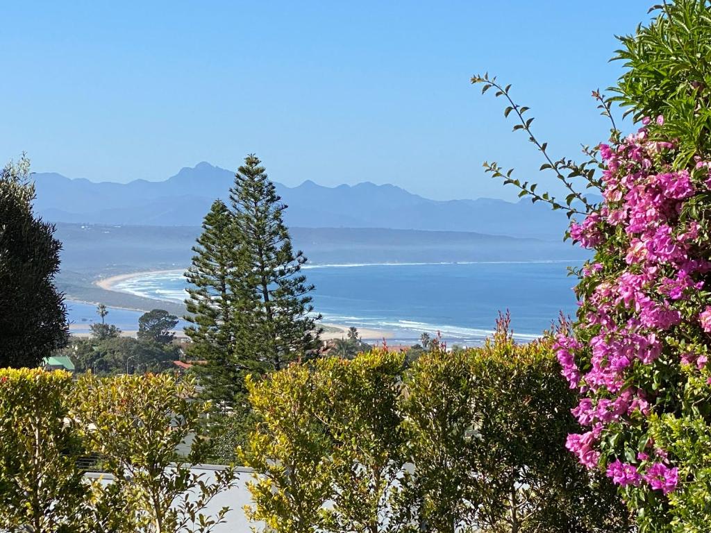 The Ridge @ Plettenberg with Sea & Mountain Views - Image 9