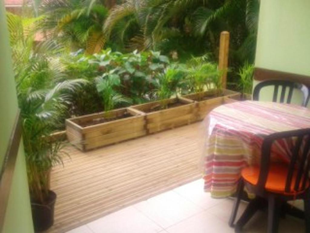 Zahrada ubytování Studio charmant à Sainte-Anne avec piscine privée, 25 m²