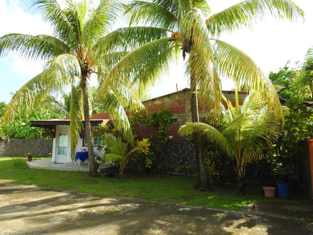 Un jardín fuera de Studio charmant à Le Robert - 17 m² avec Piscine partagée