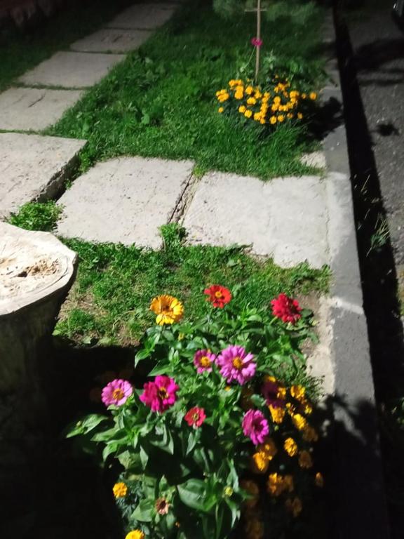 Zahrada ubytování Sevan Backstage Garden