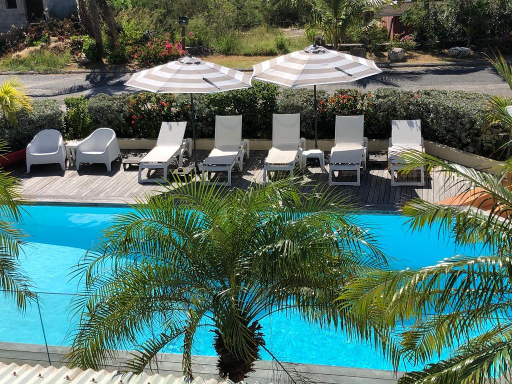 - une piscine avec des chaises longues, des parasols et un palmier dans l'établissement Colombus Résidence, à Oyster Pond