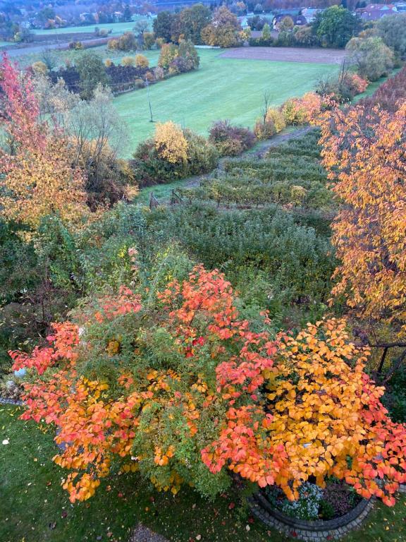 Giardino di Landhaus GRETE