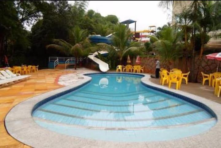  Golden Dolphin Grand Top Jc