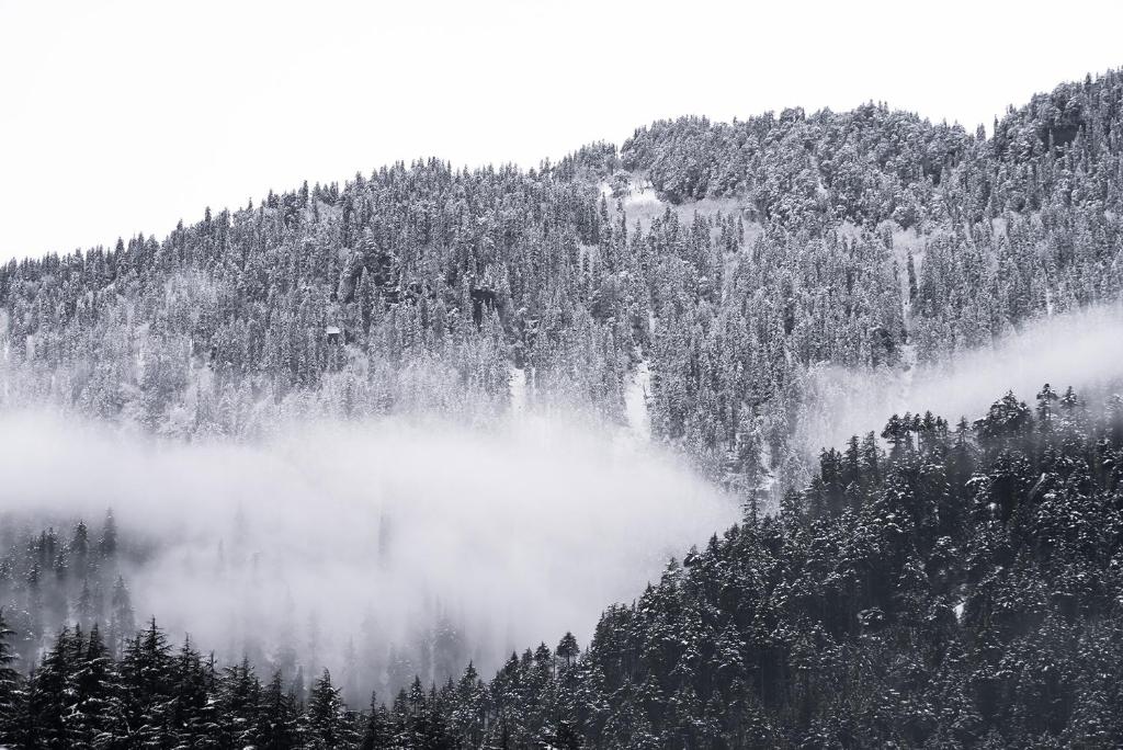 Zen Manali by Keekoo Stays v zimě