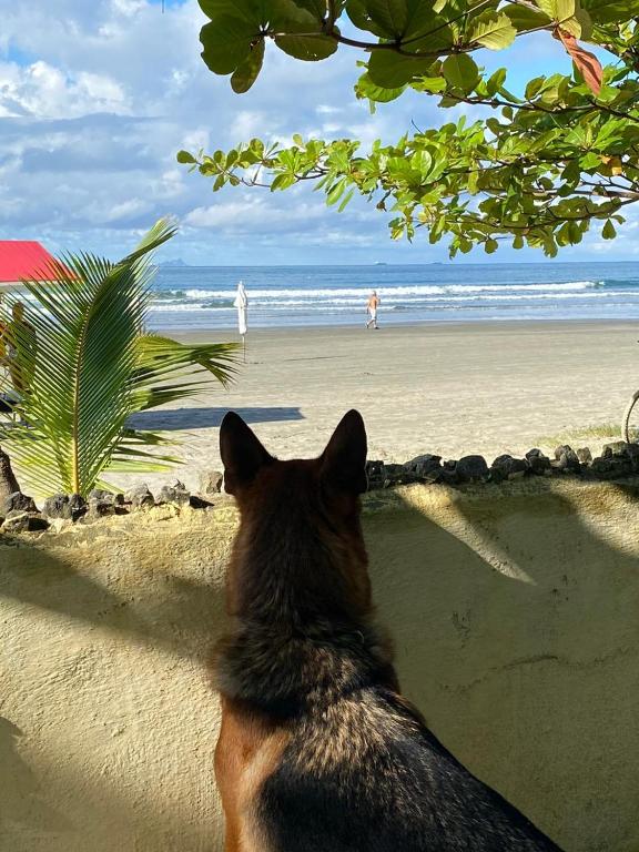  Pé na Areia - Casa para temporada