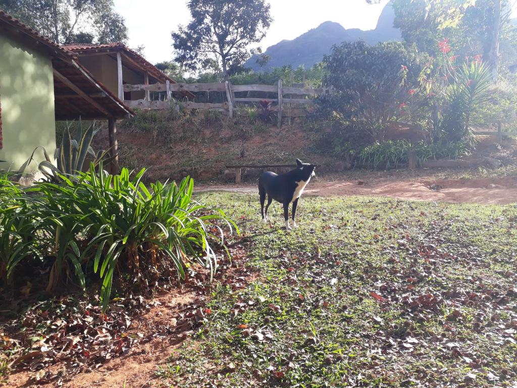  Casa da Pedra