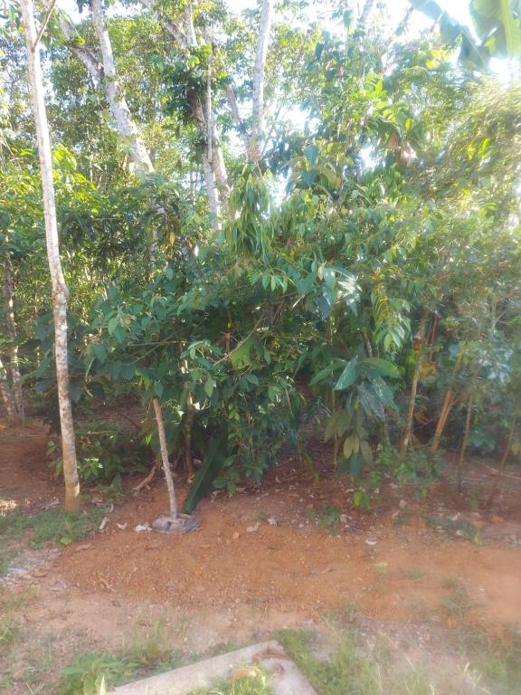  Suíte Pé na Praia Prumirim