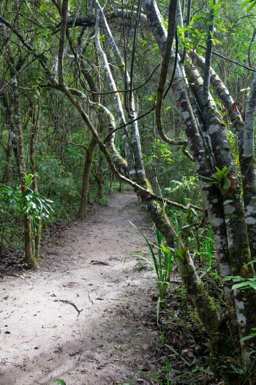 Ecopousada Serra Verde photo