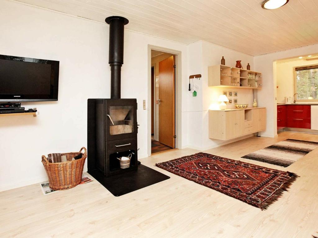TV a/nebo společenská místnost v ubytování Three-Bedroom Holiday home in Millinge 1