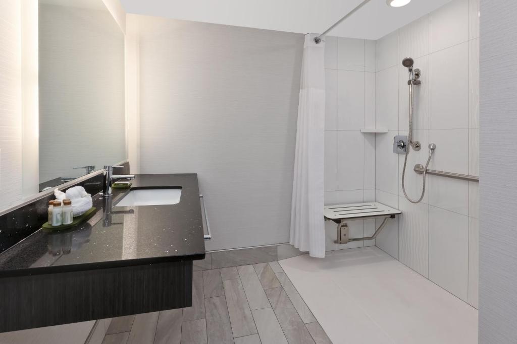 Hotel Indigo Rochester - Mayo Clinic Area - 皇后区 - 淋浴/不吸烟的听力无障碍卷