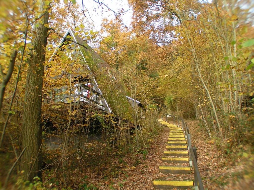 een pad in het bos met een bos trappen bij Quaint Chalet in Petithan with Roofed Pool in Durbuy