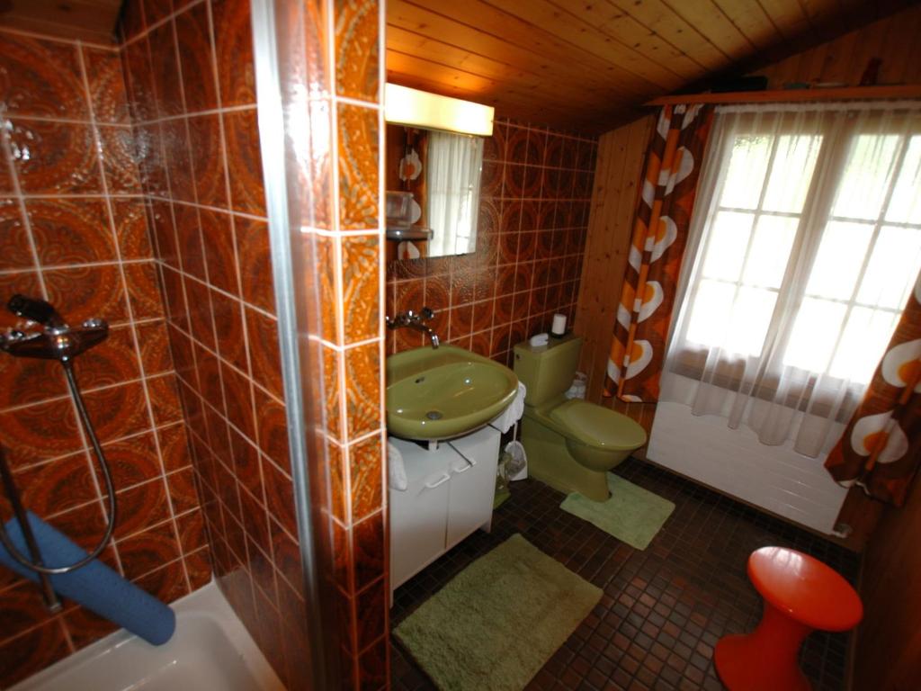 Koupelna v ubytování holiday home in Wilderswil with garden