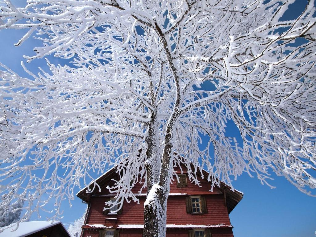 Scenic Holiday Home with Altels View v zimě