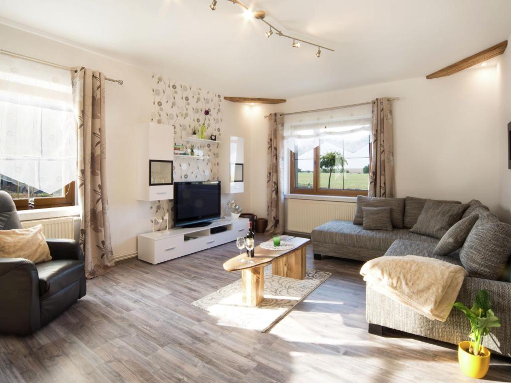 uma sala de estar com um sofá e uma televisão em Spacious apartment with terrace Zur Forelle em Ballenstedt