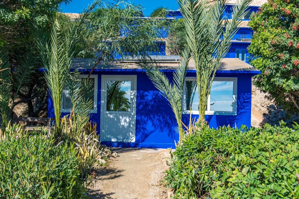 Un jardín fuera de Dakhla Attitude