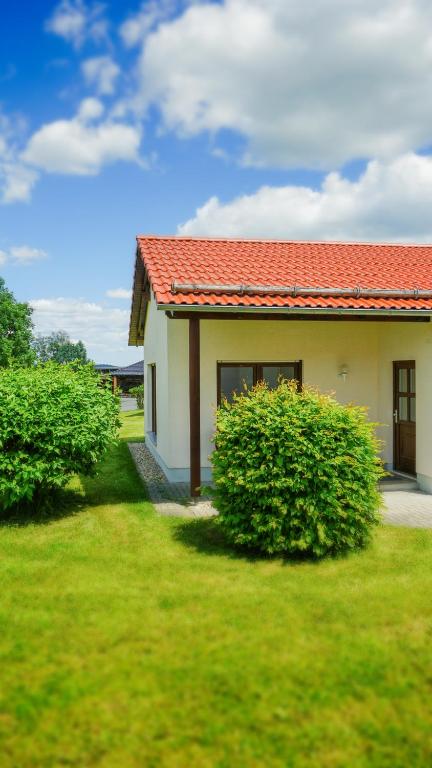 Zahrada ubytování Trixi Park Zittauer Gebirge - Ferienhäuser, Hotel und Camping