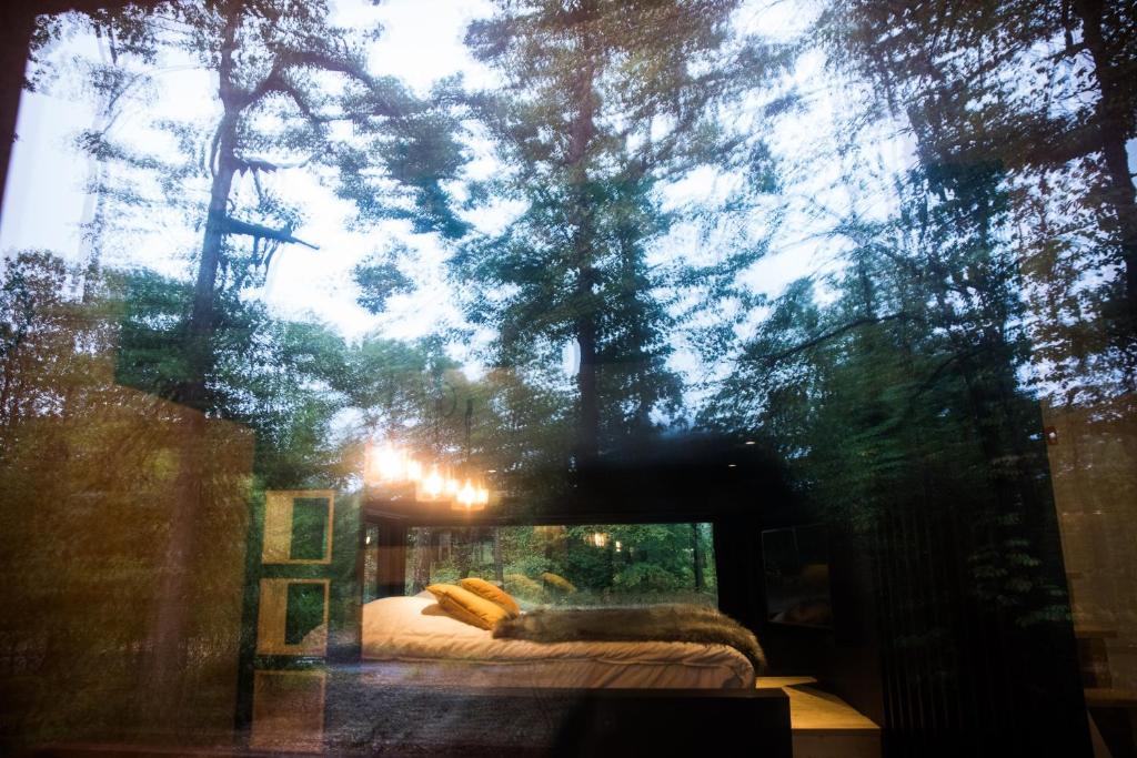 Katil atau katil-katil dalam bilik di Forest Cube