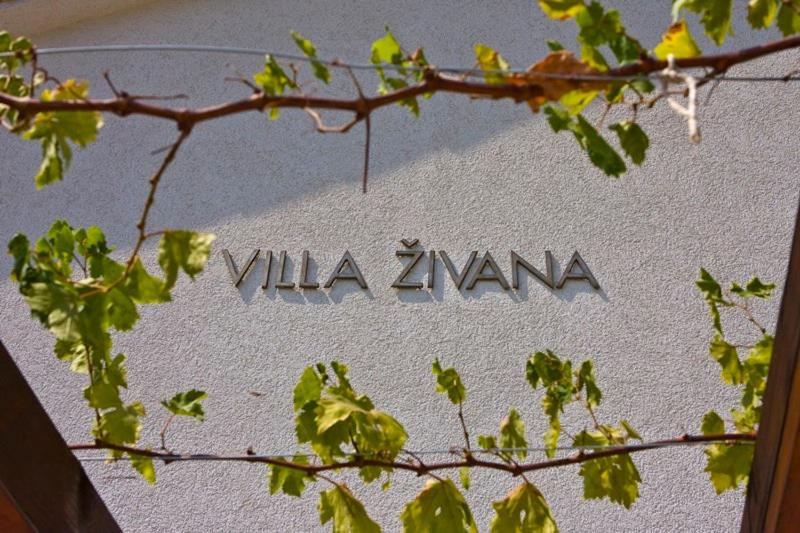 Fotografia z galérie ubytovania Villa Živana v Dugi Rat