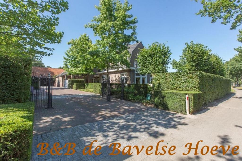 a house with a hedge fence in front of a driveway at B&B Bavelse Hoeve in Bavel