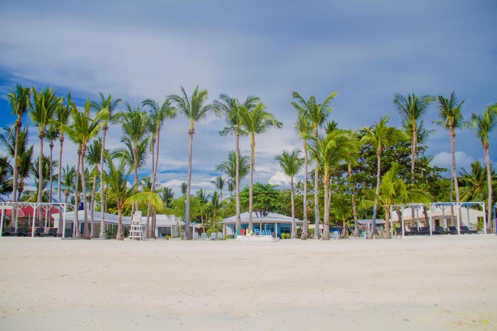 a row of palm trees on a sandy beach at La Playa Estrella Beach Resort in Bantayan Island