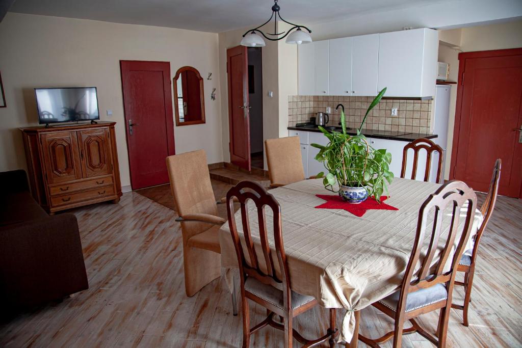 Apartamenty w Starym Kinie - 11