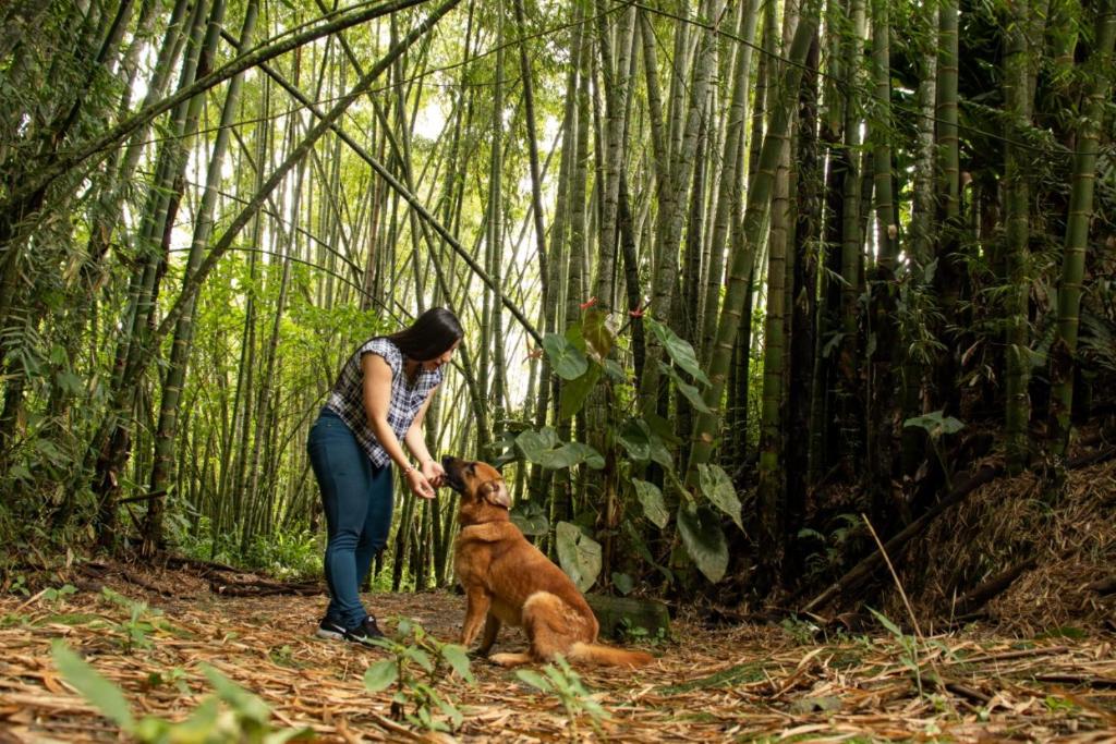 Majutusasutuse Ecohotel La Casona Pereira külastajad