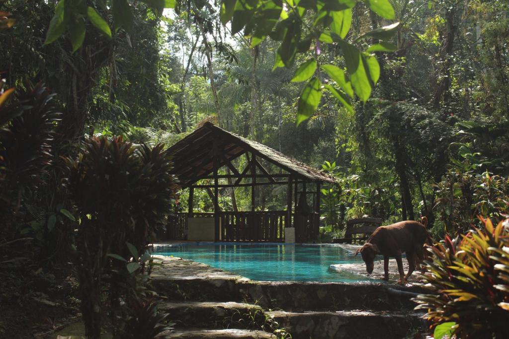 Bazén v ubytování Princesa de la Luna Ecolodge nebo v jeho okolí