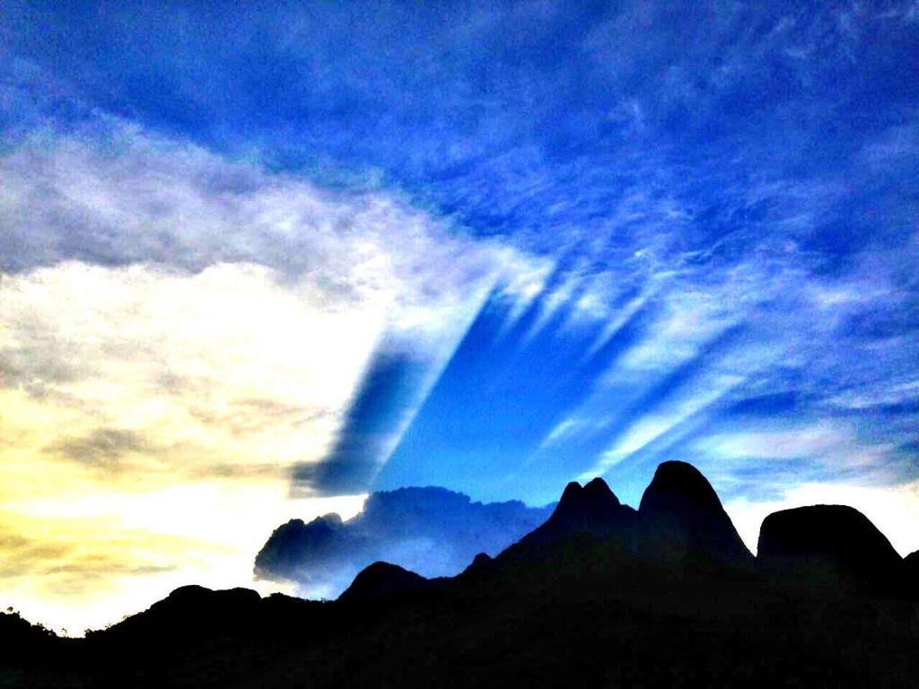  GAIA DE LUZ