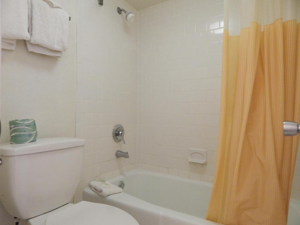 Knights Inn - Plant City - Room King - Non-fumeur