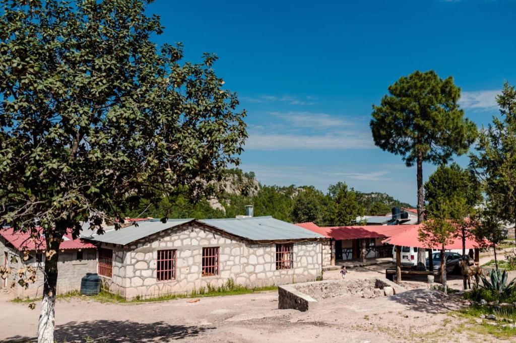 Areponapuchi的住宿－Cabañas De Lolita En Barrancas del cobre，一座小石头建筑,前面有一棵树