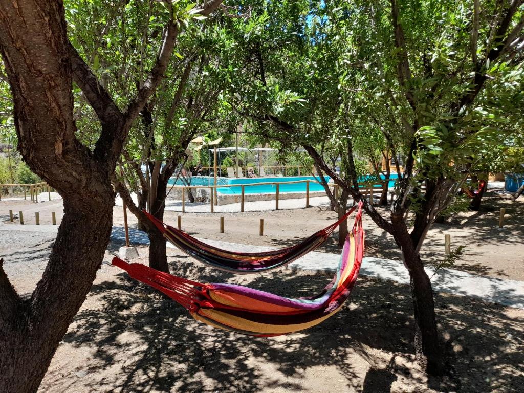 una hamaca colgando de un árbol junto a una piscina en Refugio Piedra Madre, en San José de Maipo